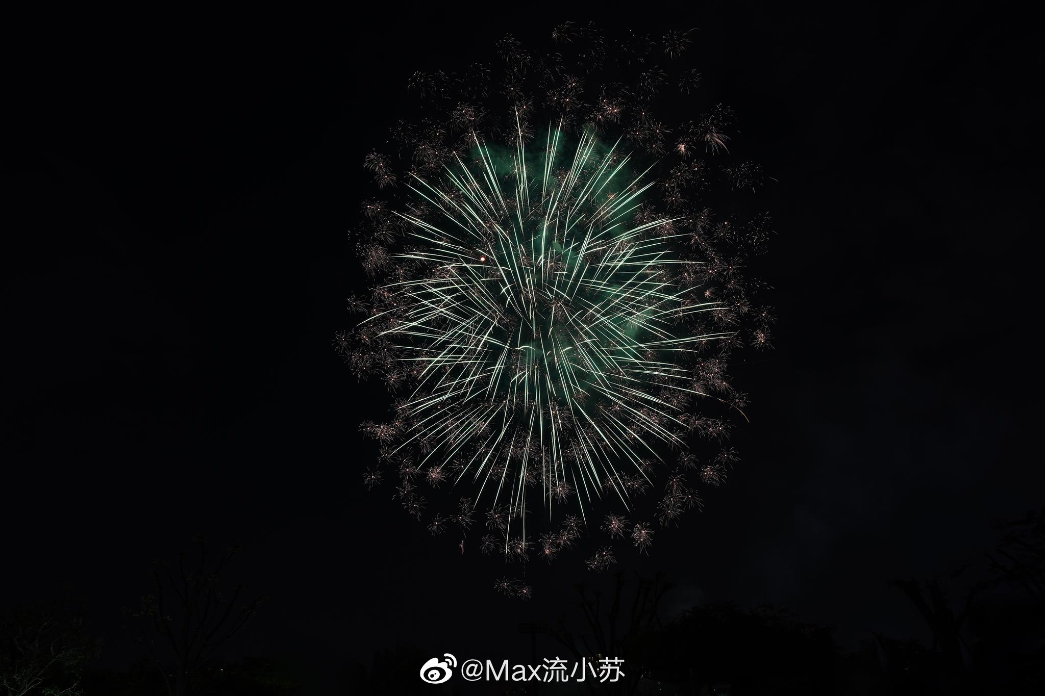 梦洲花火