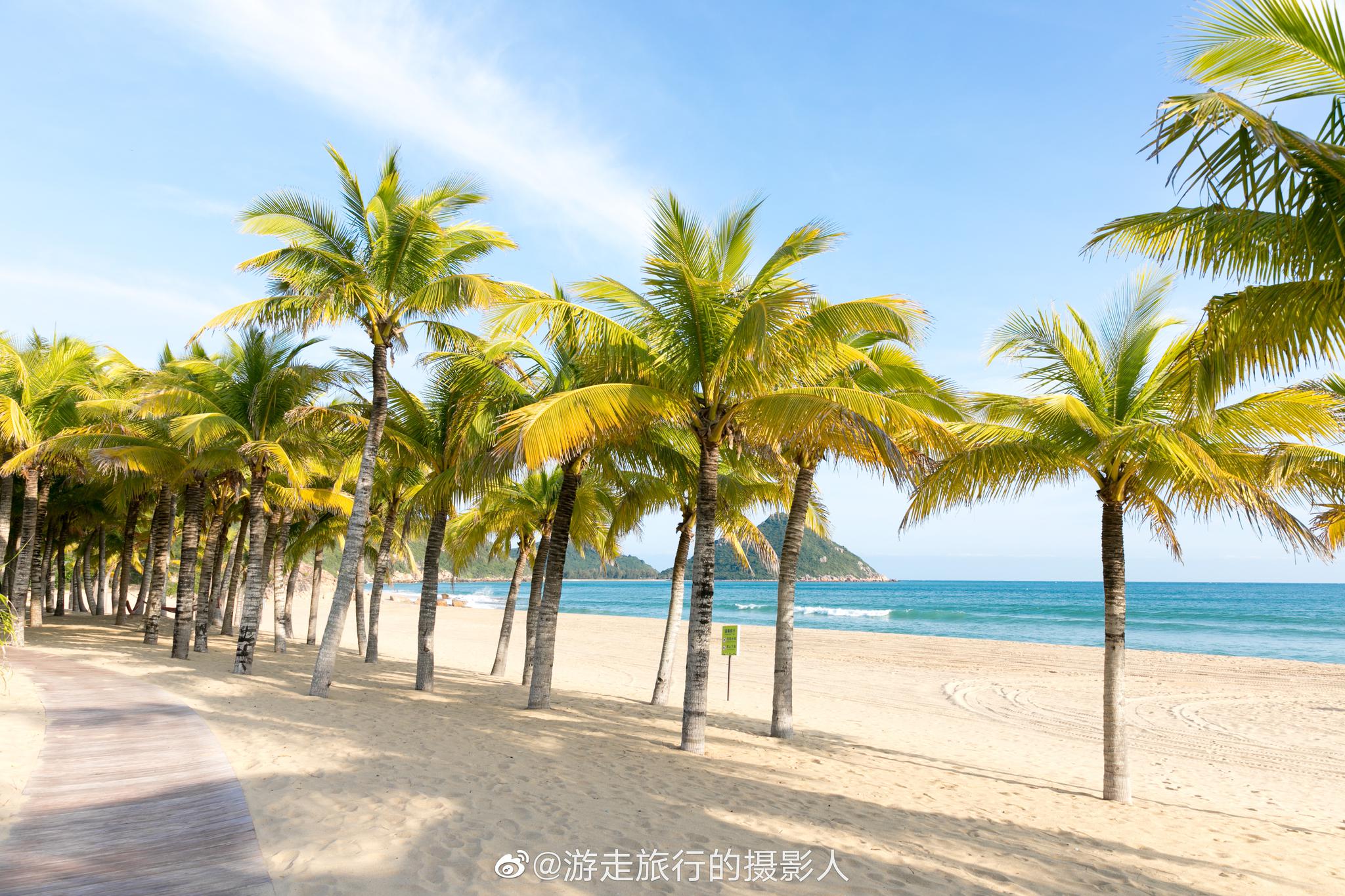 阳光,沙滩,网红打卡地,一望无尽的海岸线,典型气候造就的椰树林
