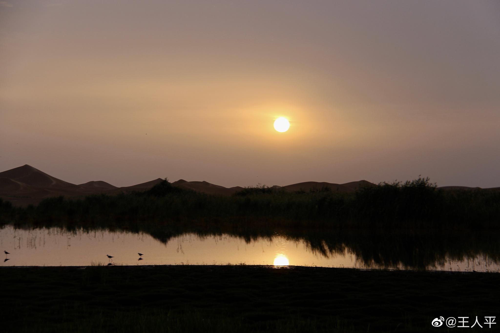 暴风雨后的清晨,一片祥和.漫步于淖日图湖边