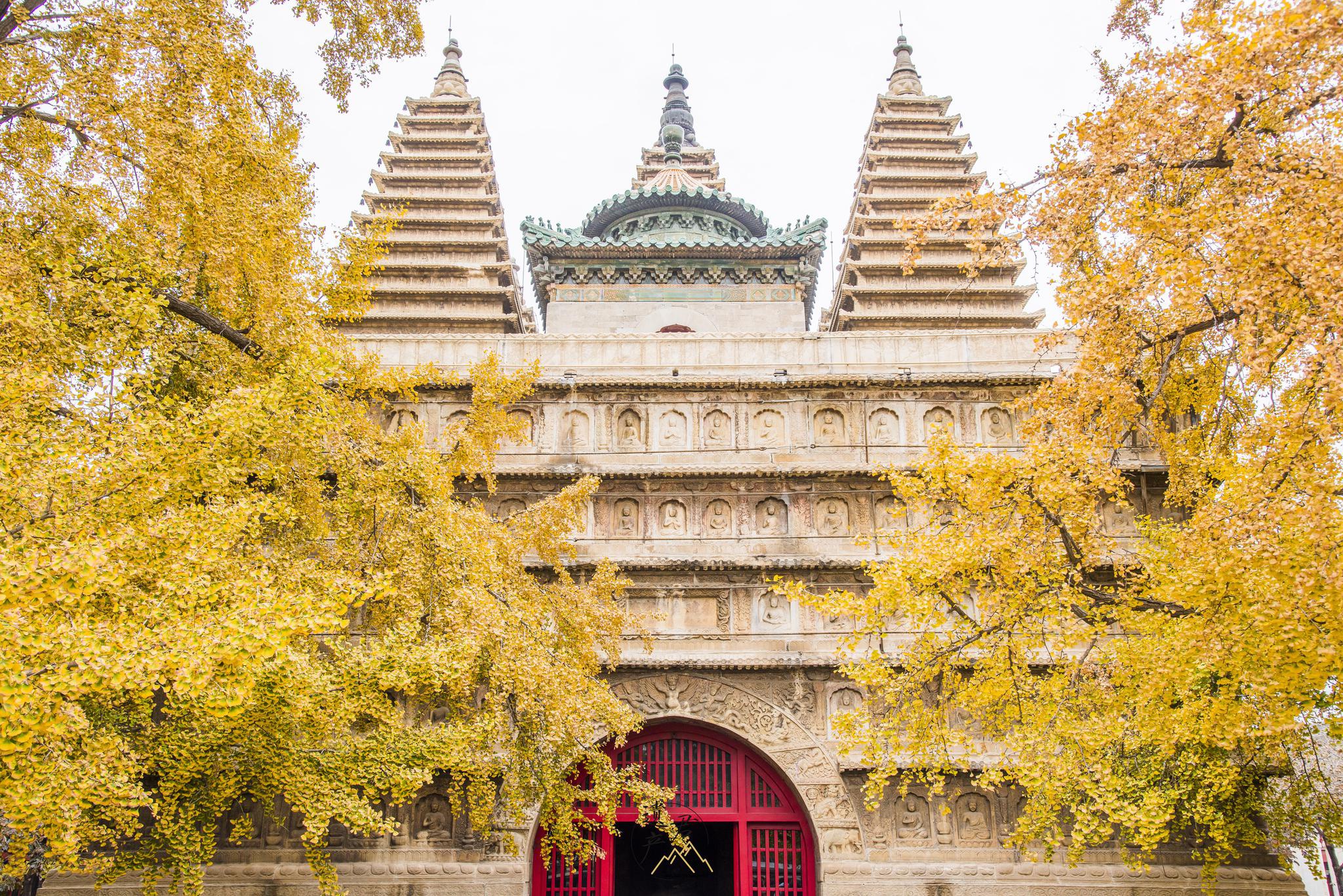 北京五塔寺_高清图集_新浪网
