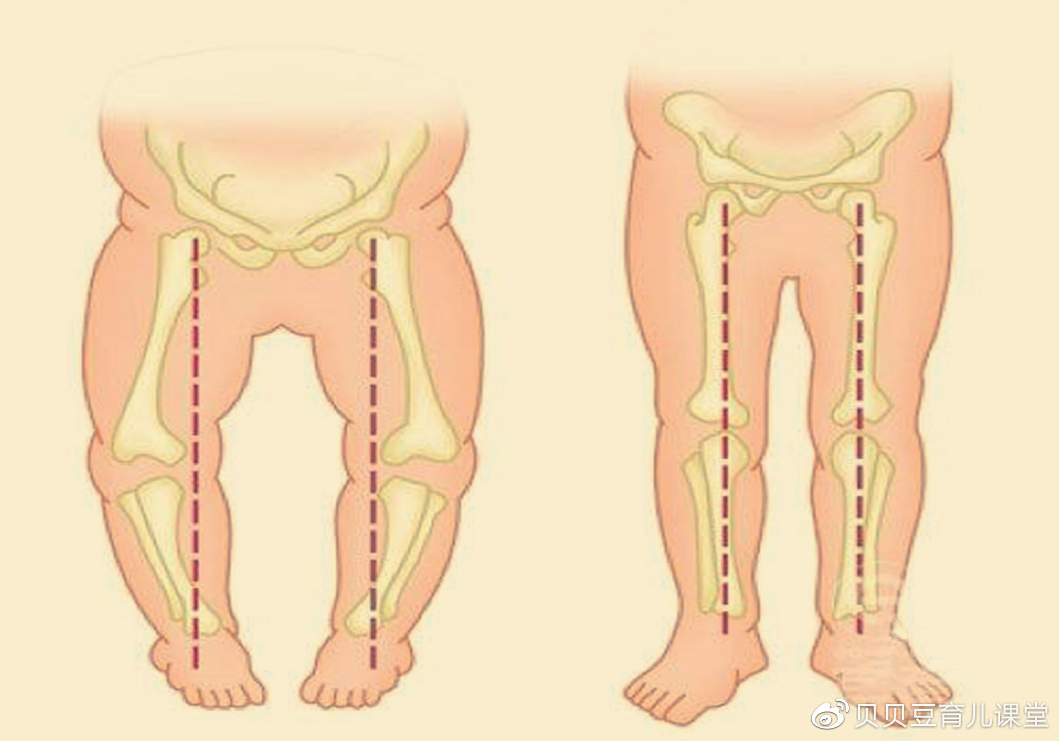 小青家的宝宝一岁多了,从小孩子的身高发育妈妈几乎