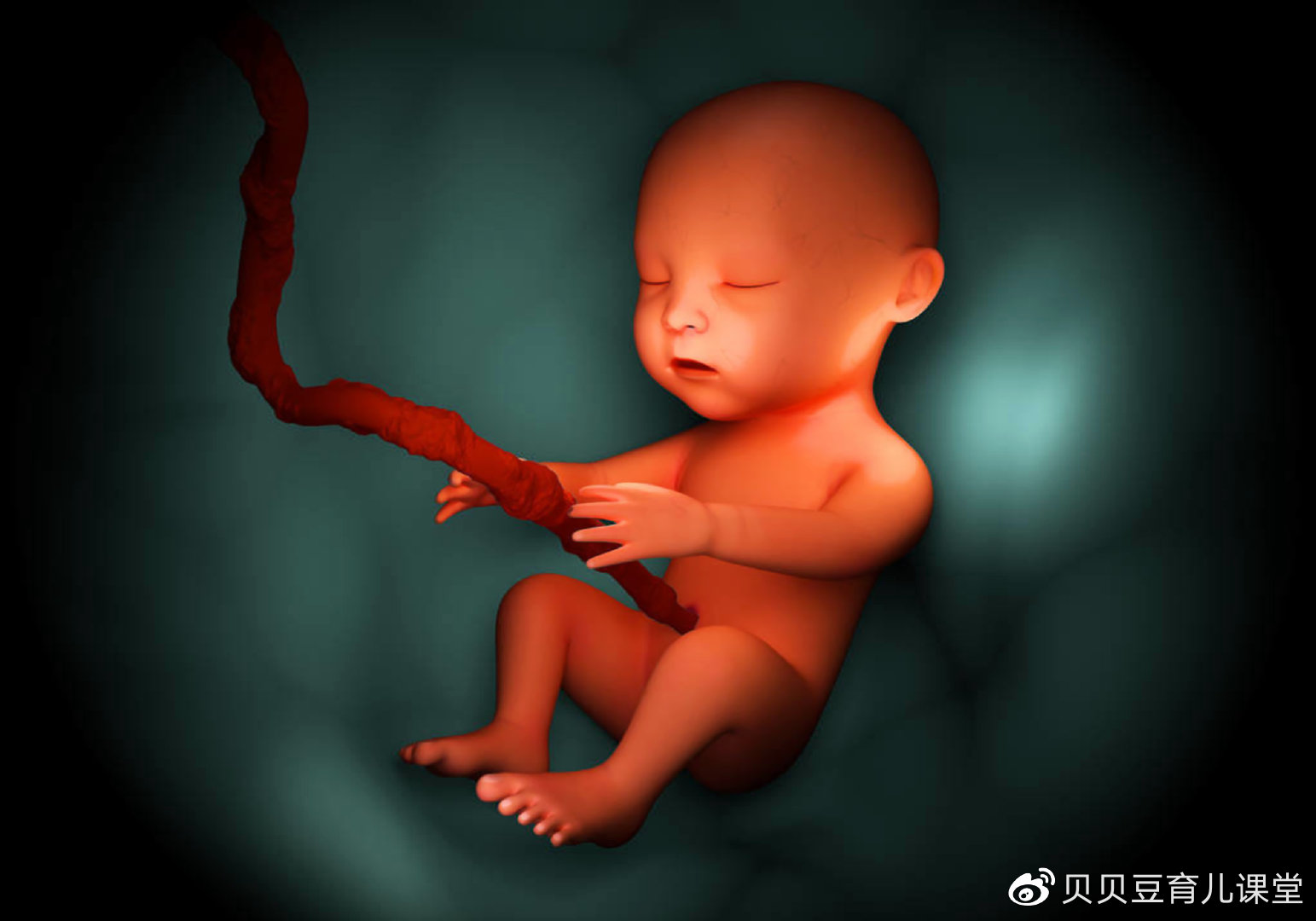 宝宝成功入盆后会改变孕肚形状吗?五症三变为入盆信号,等卸货吧