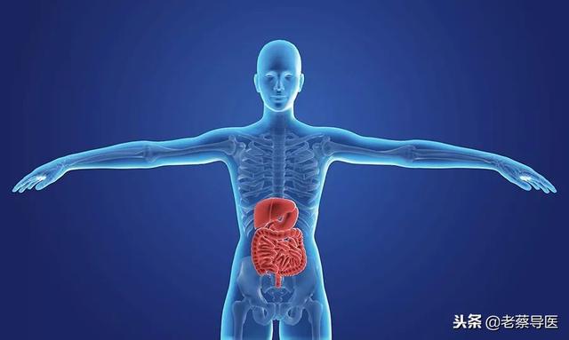 科 主任医师 杨小平河南省中医院肝胆脾胃科 主任医师 牛学恩指导专家