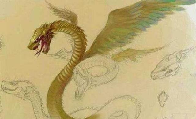 关于山海经中龙记载龙其实很可能就是这两种生物演变