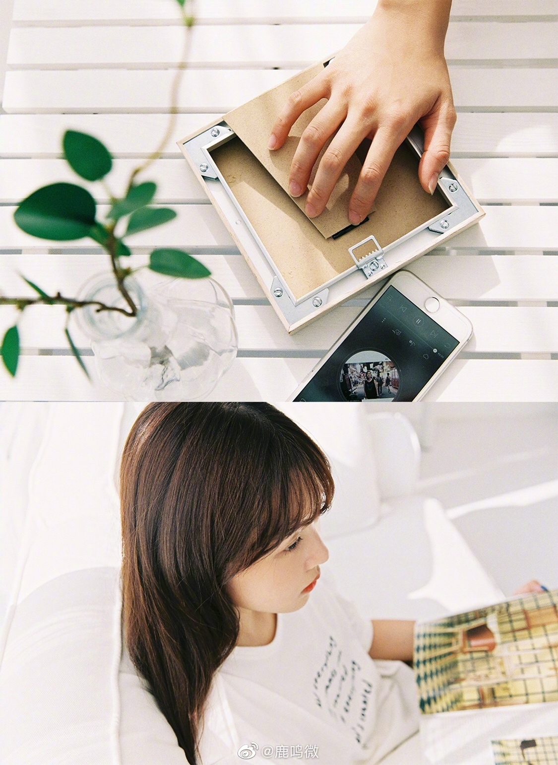 贩卖日落你将阳光洒向我鹿鸣微出镜金玲in