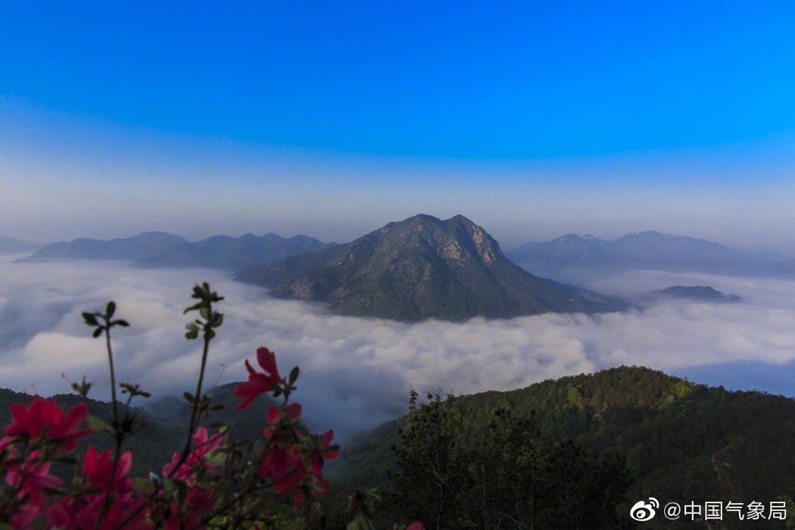 近日,湖北省黄冈市罗田县古羊寨风和日丽,野生杜鹃红遍山谷