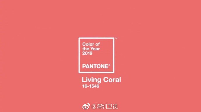 pantone公布2019年度流行色livingcoral珊瑚红