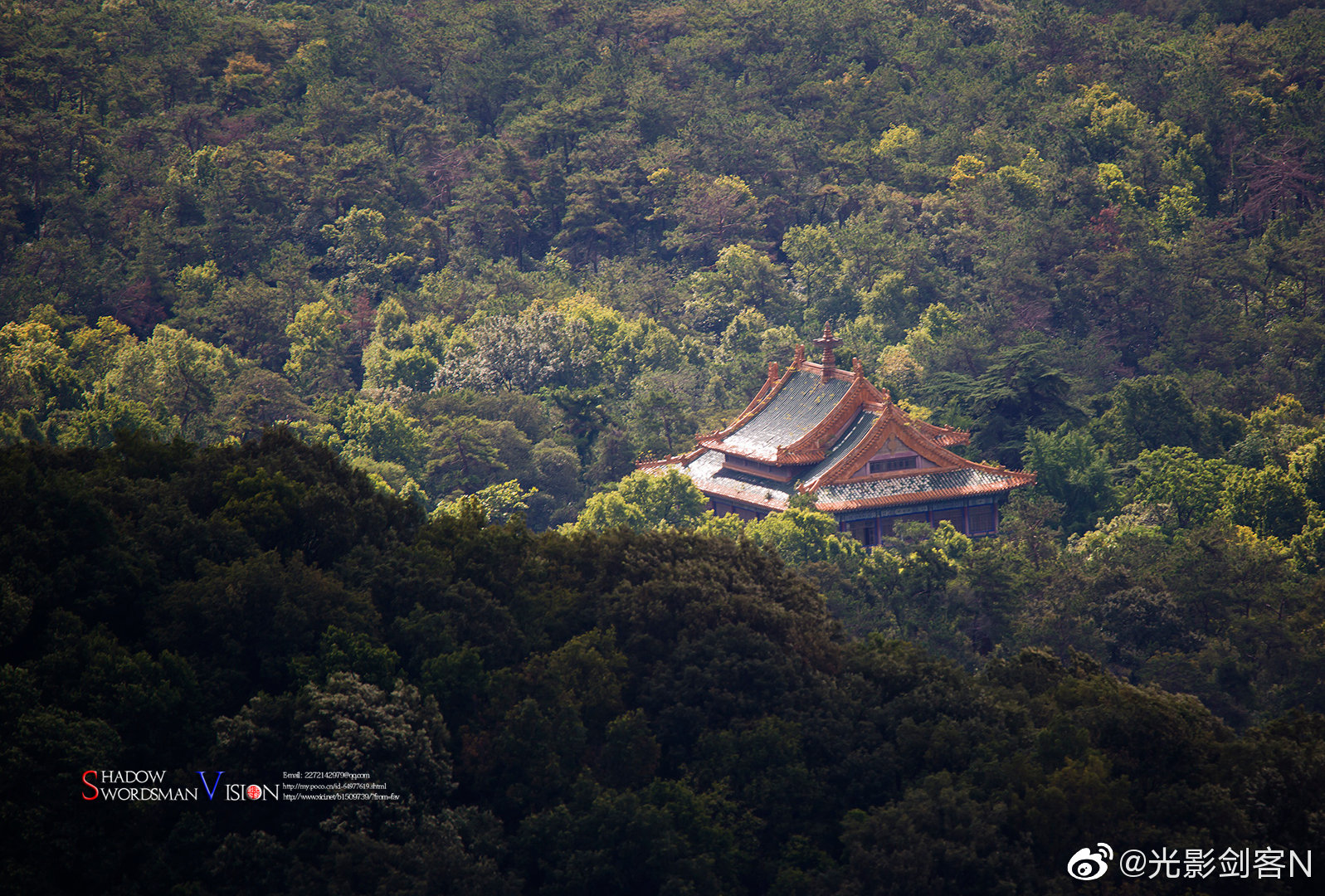 8月,山水城林,绿色之都