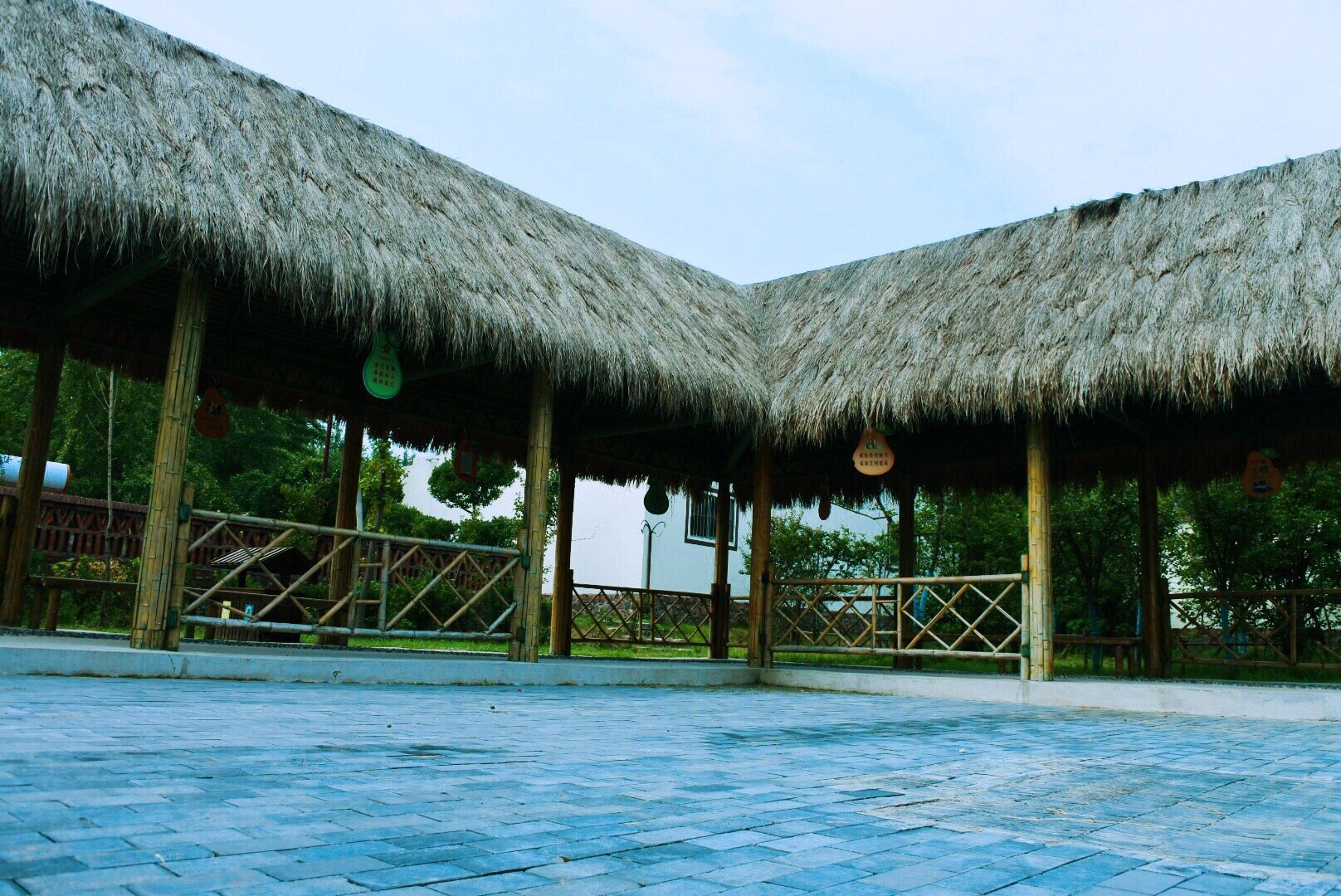 打卡江苏宿迁梨园湾生态特色村.