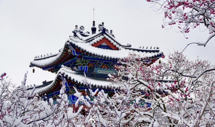 梅花山至高点博爱阁,有着江南独特的古建筑风格,梅花绽放之时|南京|摄影|韵味|影星|粉色_新浪新闻