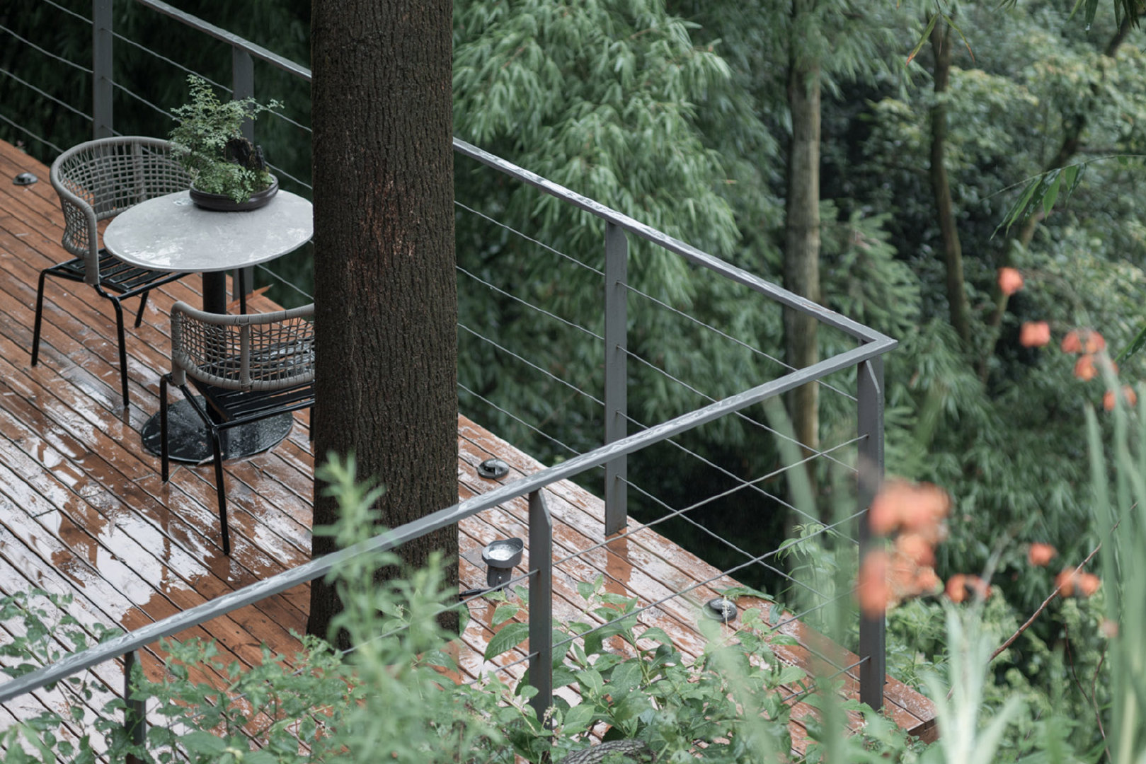 建筑设计 | 重庆南山别处民宿,悬崖峭壁上的诗意