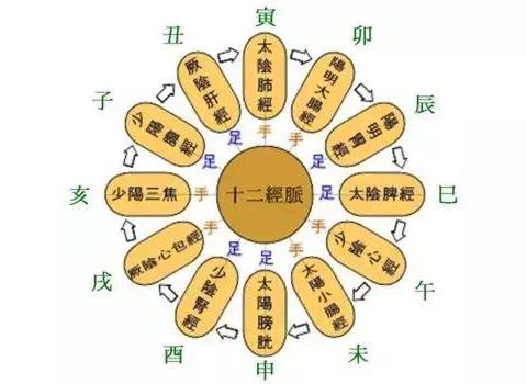一张表,看懂五行与天地人身的对应|南方_新浪新闻