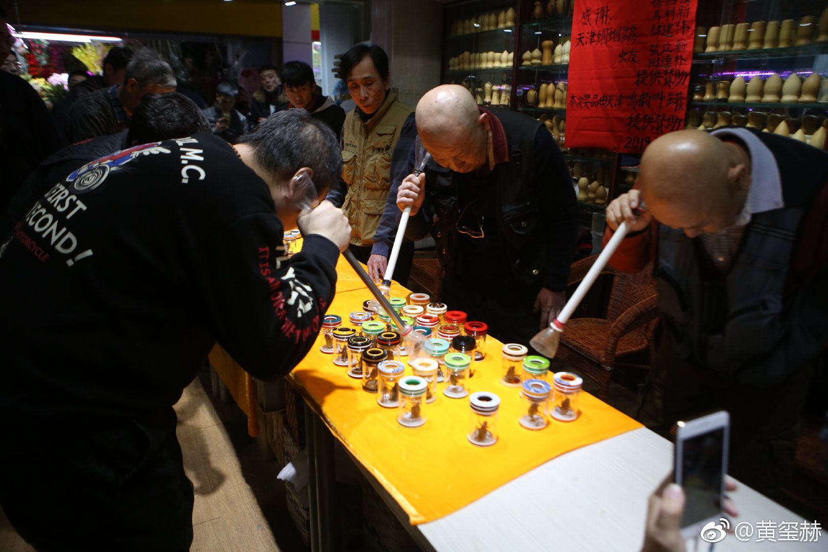 2019老马鸣虫杯蝈蝈大赛昨日在三旗百汇隆重举行