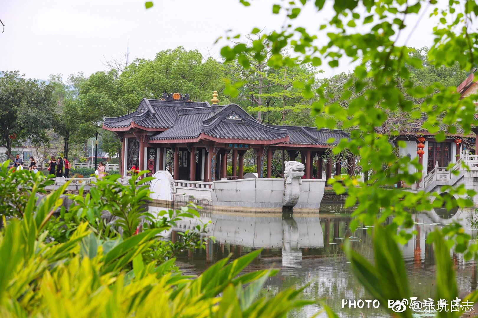 春暖来万物竞生是郊游踏春的好时节