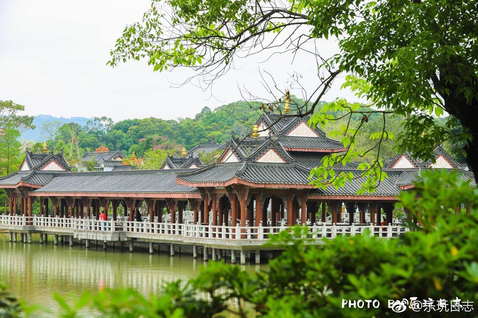 春暖来万物竞生是郊游踏春的好时节