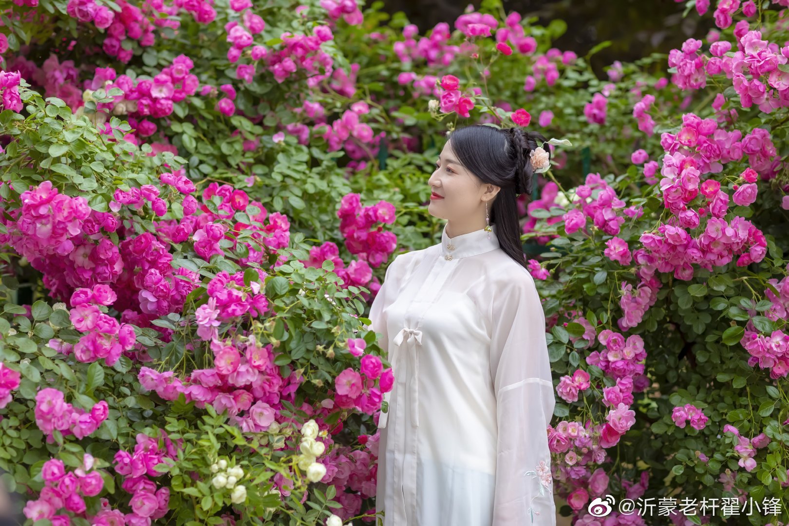 临沂有个大花园,大花园里美女多