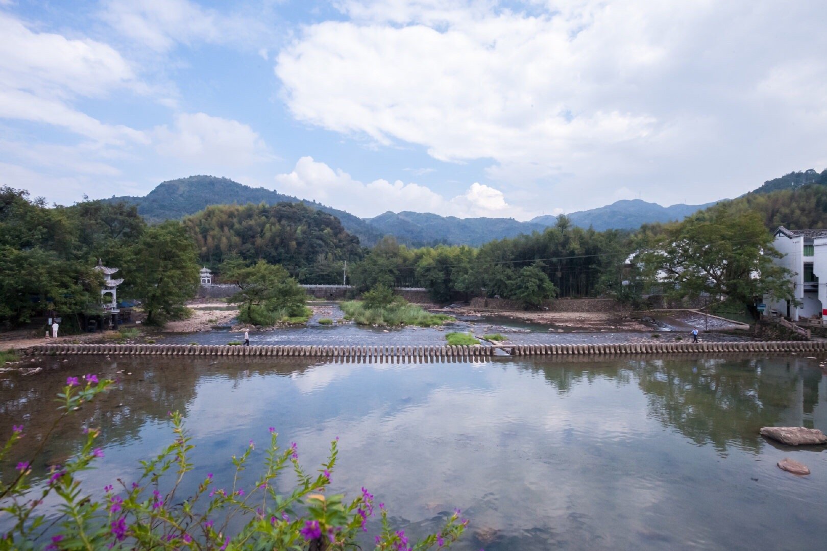 苍南县桥墩镇有个矴步头村,旧时曾是浙南闽北两省三县茶叶集散之地