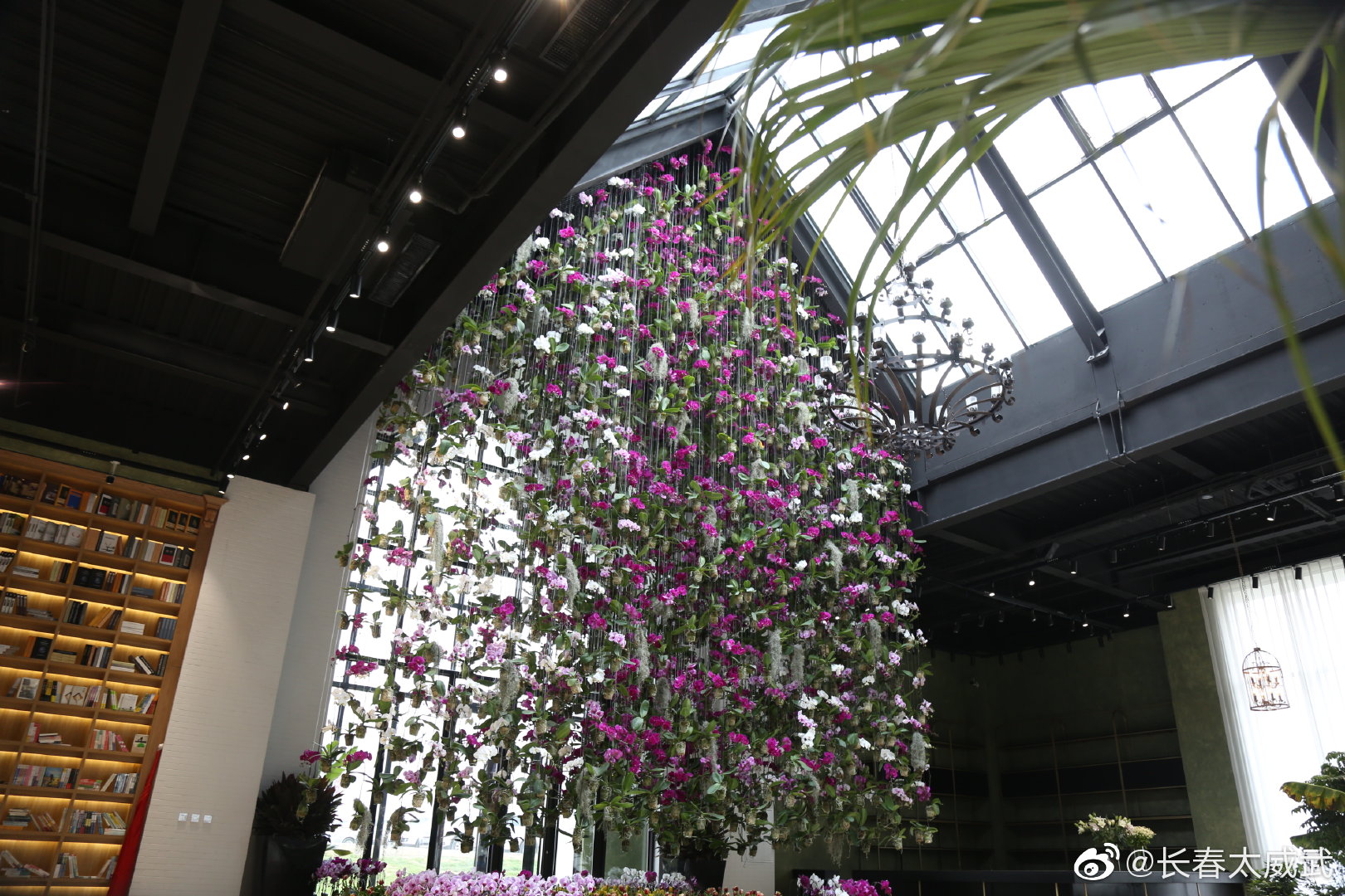 青怡坊昆兰落户长春西客站站前可用于创业或投资