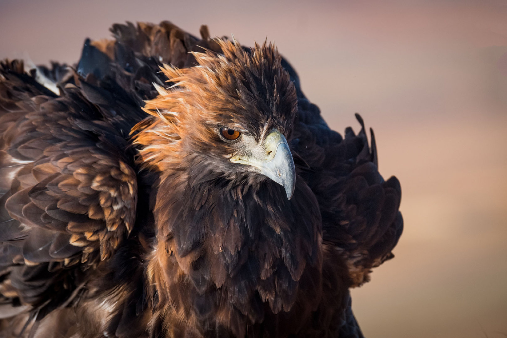 simone raso (italy)相机: 来自富士全球摄影师图鉴