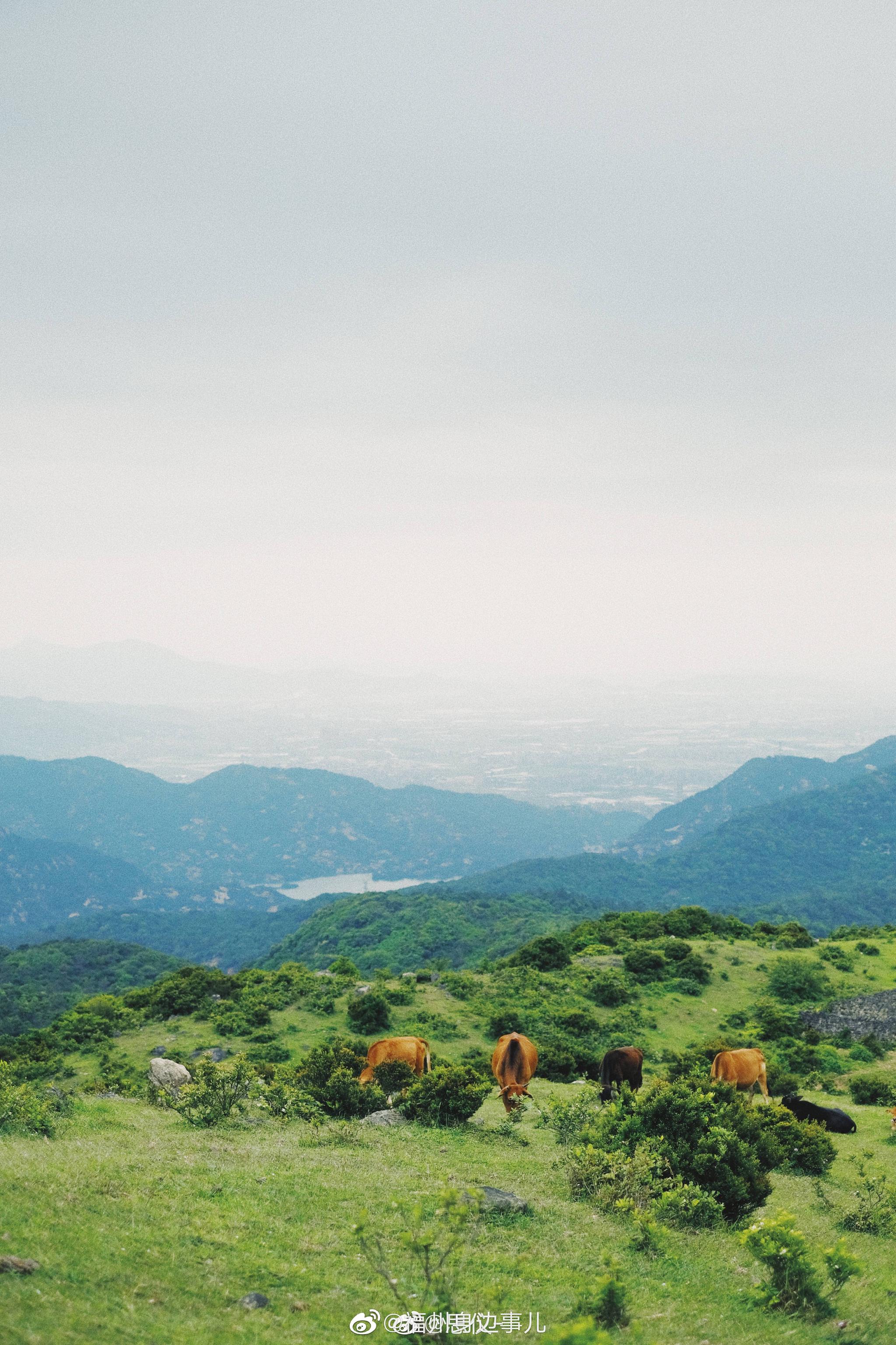 福清大姆山草场|福清|南岭镇|福州_新浪新闻