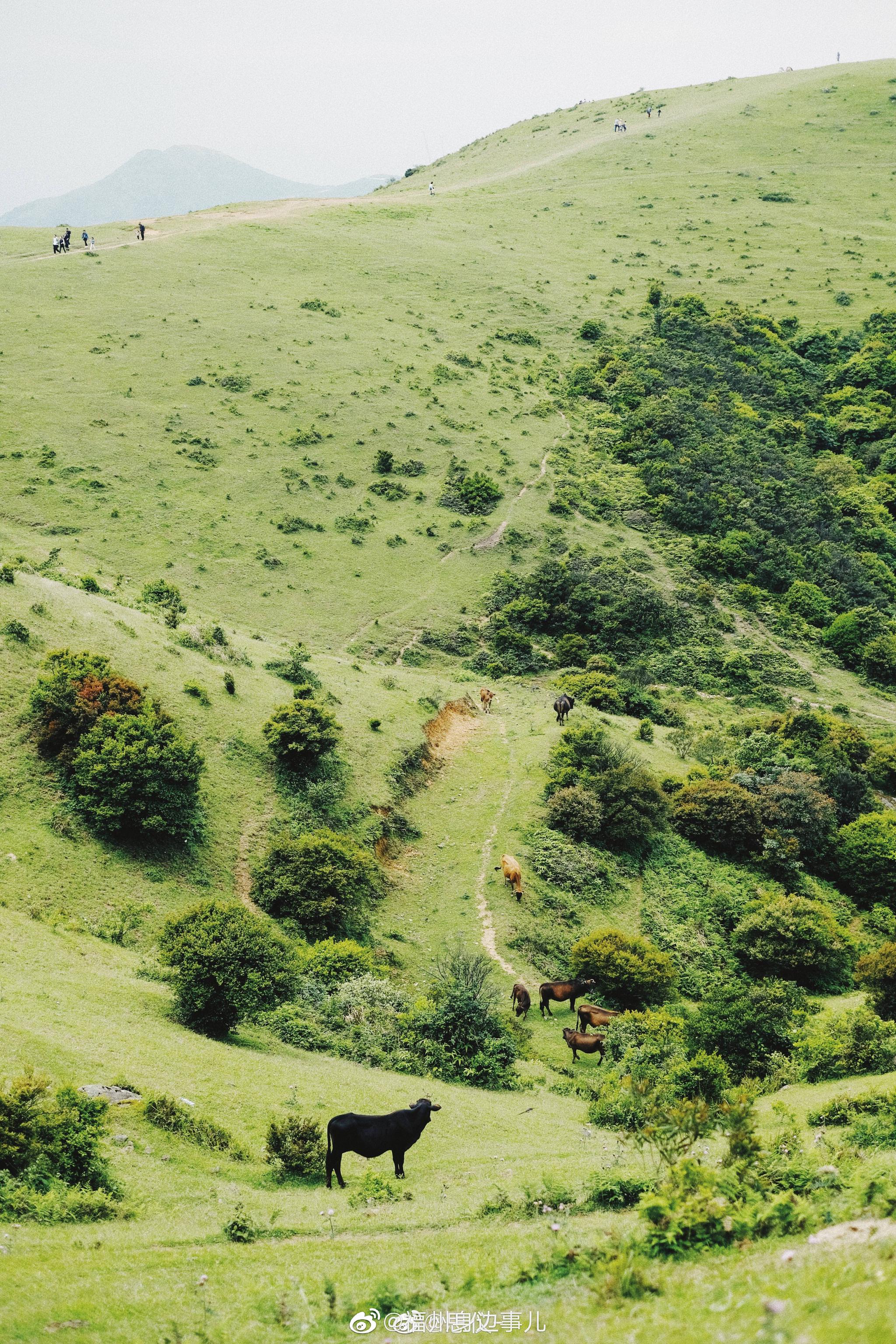 福清大姆山草场|福清|南岭镇|福州_新浪新闻