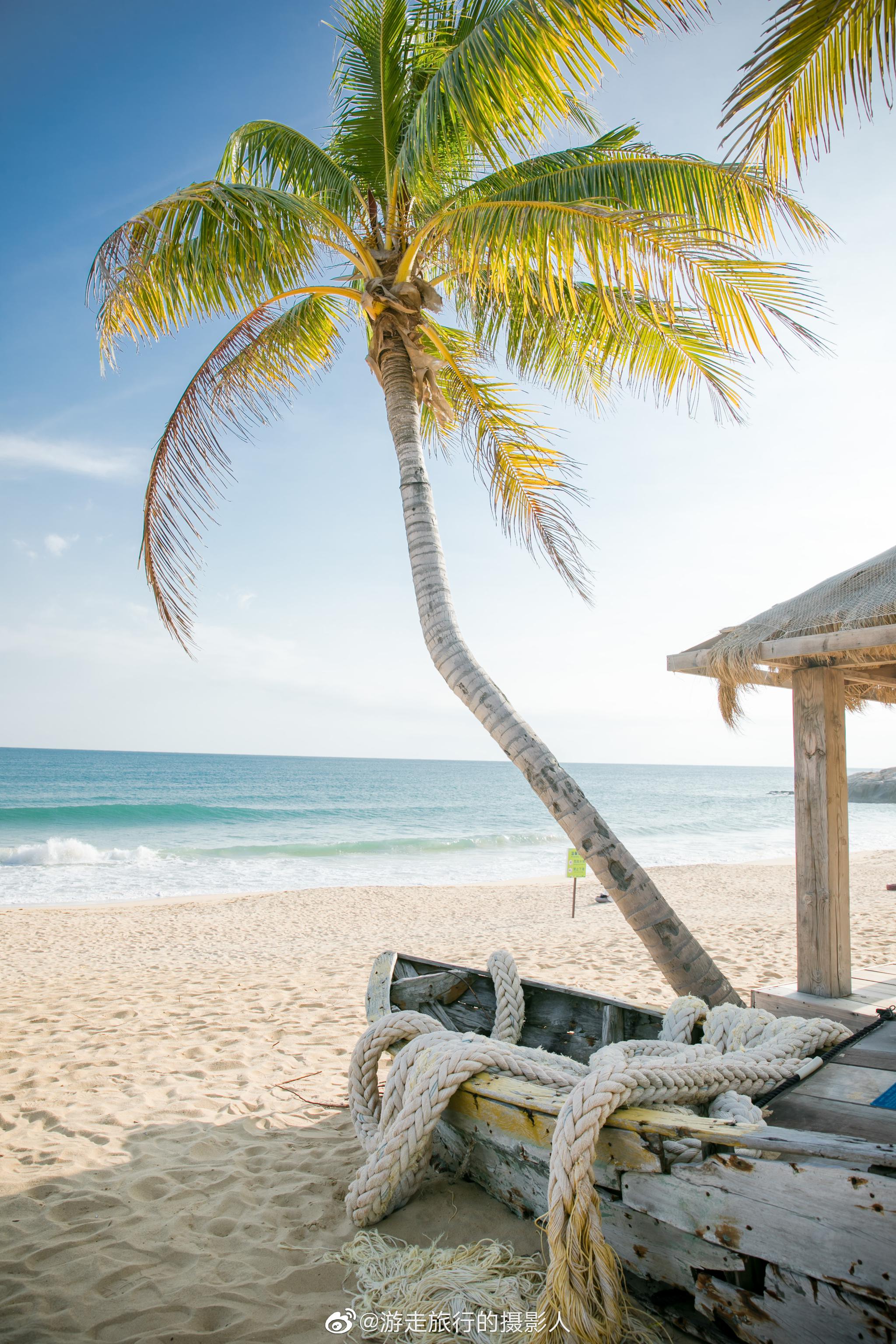 阳光,沙滩,网红打卡地,一望无尽的海岸线,典型气候造就的椰树林