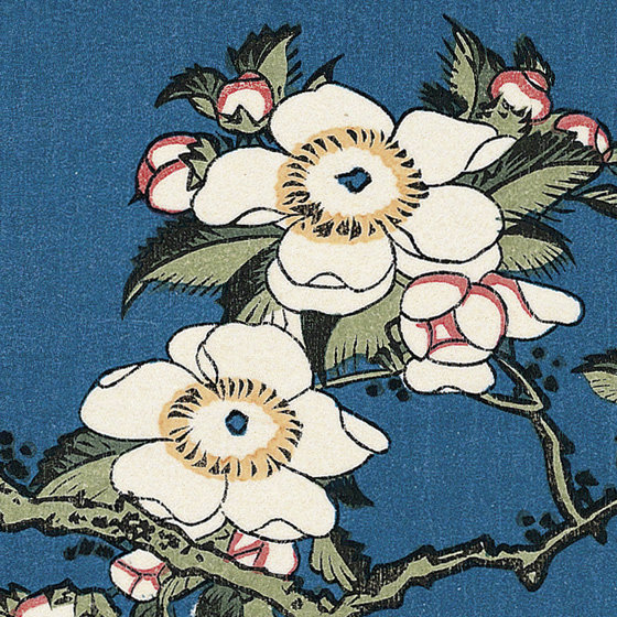 葛饰北斋katsushikahokusai