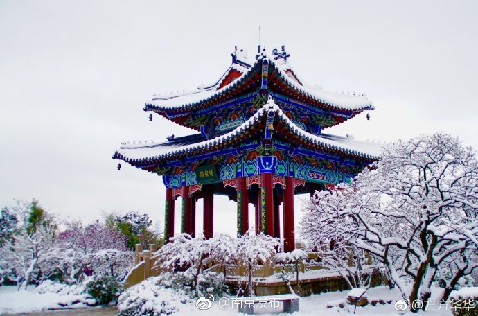 梅花山至高点博爱阁,有着江南独特的古建筑风格,梅花绽放之时|南京|摄影|韵味|影星|粉色_新浪新闻