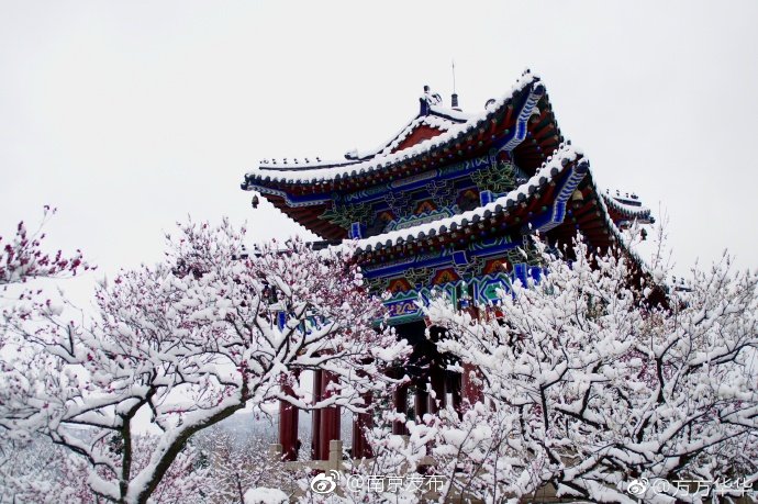 梅花山至高点博爱阁,有着江南独特的古建筑风格,梅花绽放之时|南京|摄影|韵味|影星|粉色_新浪新闻