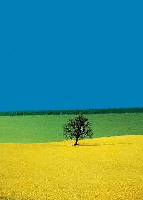 大自然的色彩构成摄影 · franco fontana / 意大利_高清图集_新浪网