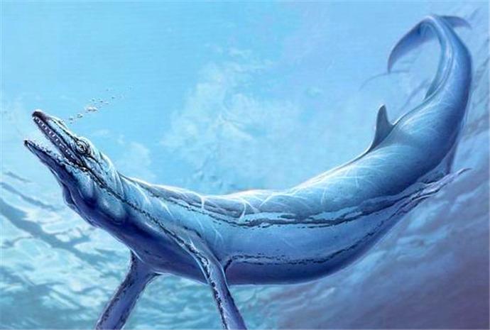 龙王鲸被认为是鲸的祖先,与鼠白鲨相生相克,最后得到巨齿鲨帮忙
