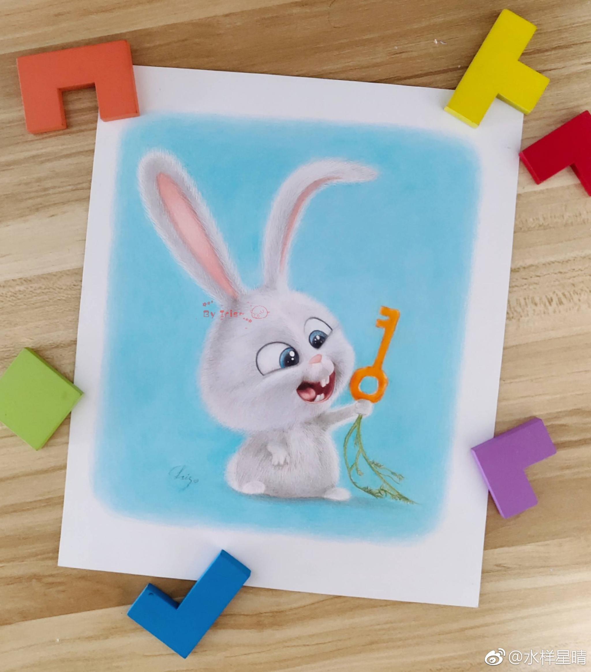 爱宠大机密小白兔绿辉霹雳马飞乐鸟彩铅纸水样星晴