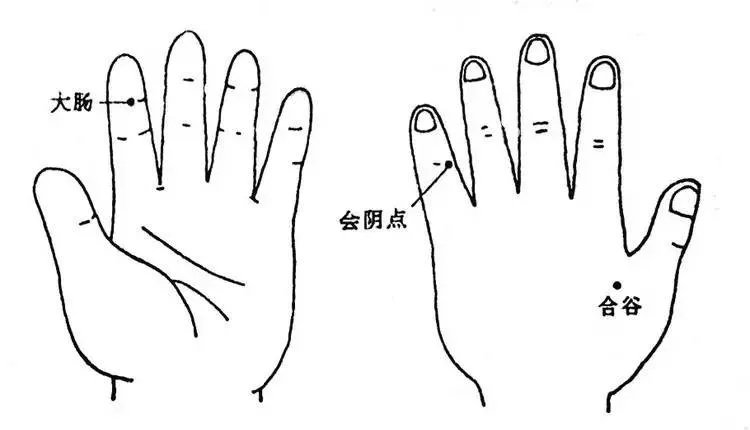 【疗●健康】痔疮,肛门出血,刺激会阴点,立竿见影!