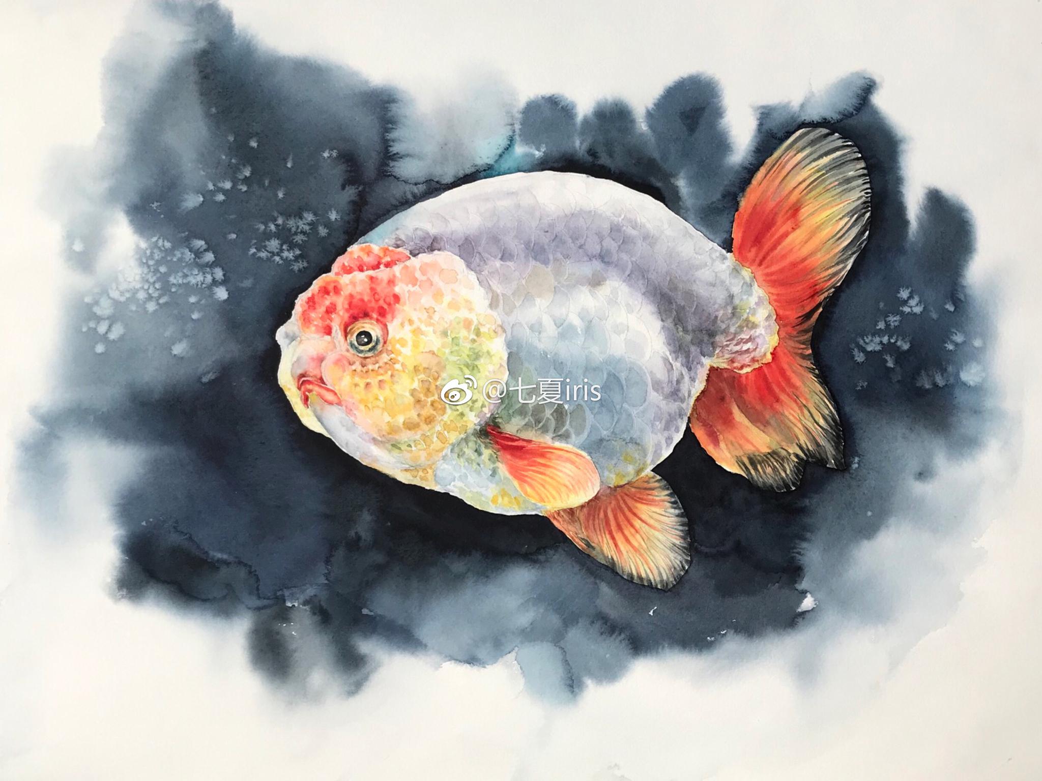 咱也画画子青左老师的鱼 希望年年有余 咱也画画子青左老师的鱼 希望年年有余