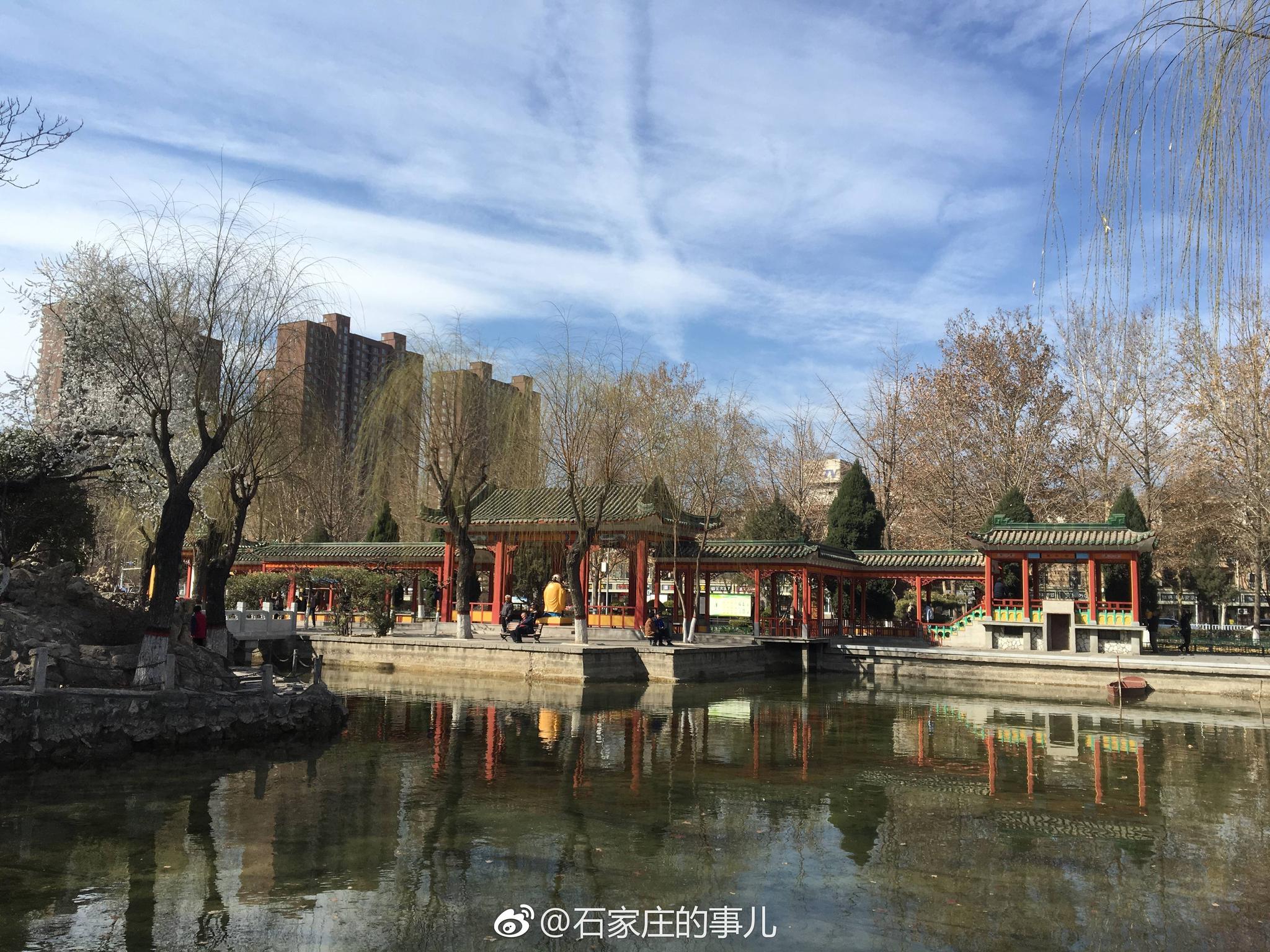 石家庄的春天,蓝天,清风,绿柳,红花,好不惬意～@微博举君