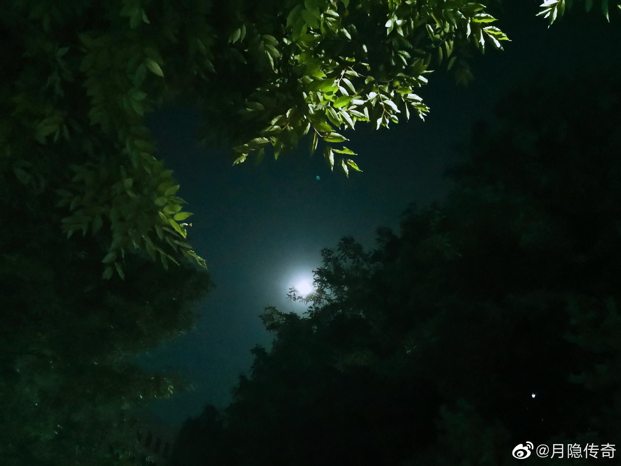 夜晚,月色清冷.天明,看到一对情侣在操场上谈恋爱.