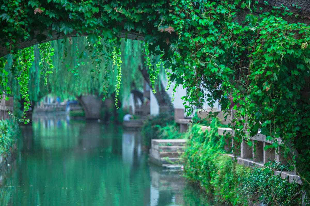 清风拂绿柳,白水映红桃。舟行碧波上,人在画中游