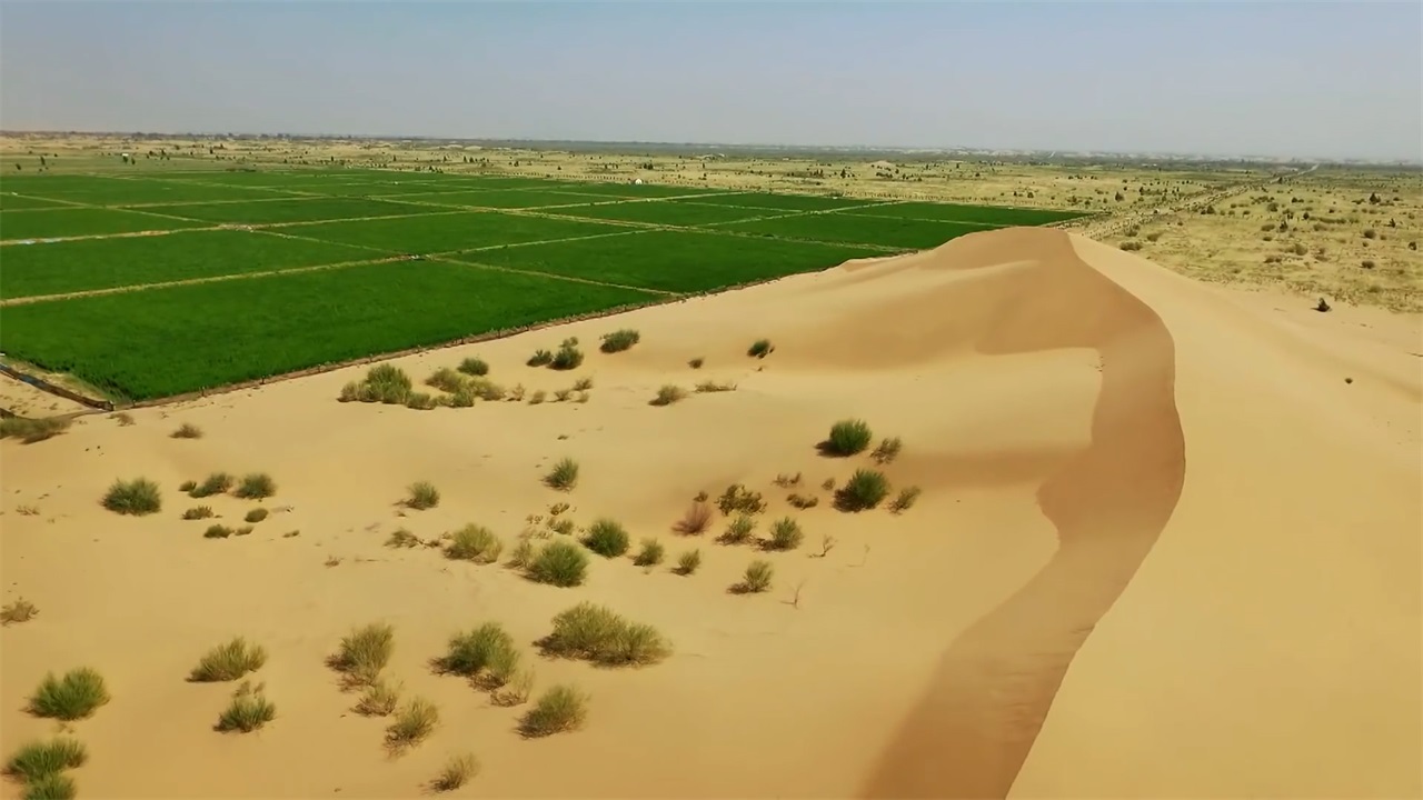 用数十年将中国这片荒漠变"绿洲",敬佩和感谢|内蒙古|沙漠|荒漠_新浪