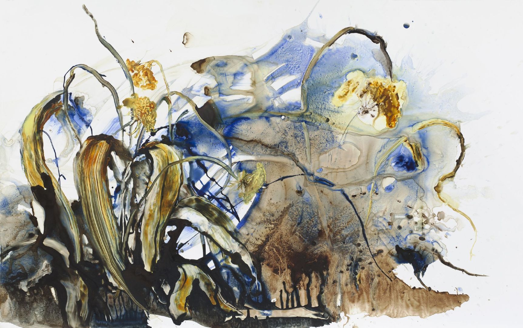 偶遇加拿大裔美国画家 ilana manolson 在具象艺术和抽象艺术之间开