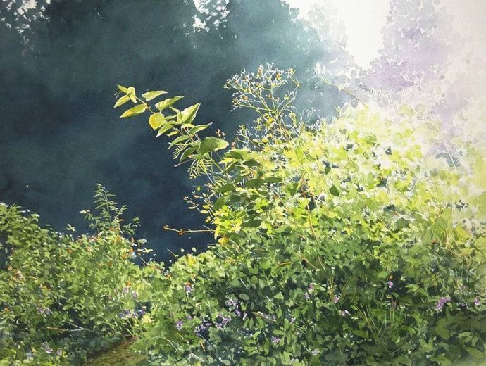 日本水彩大师 阿部智幸