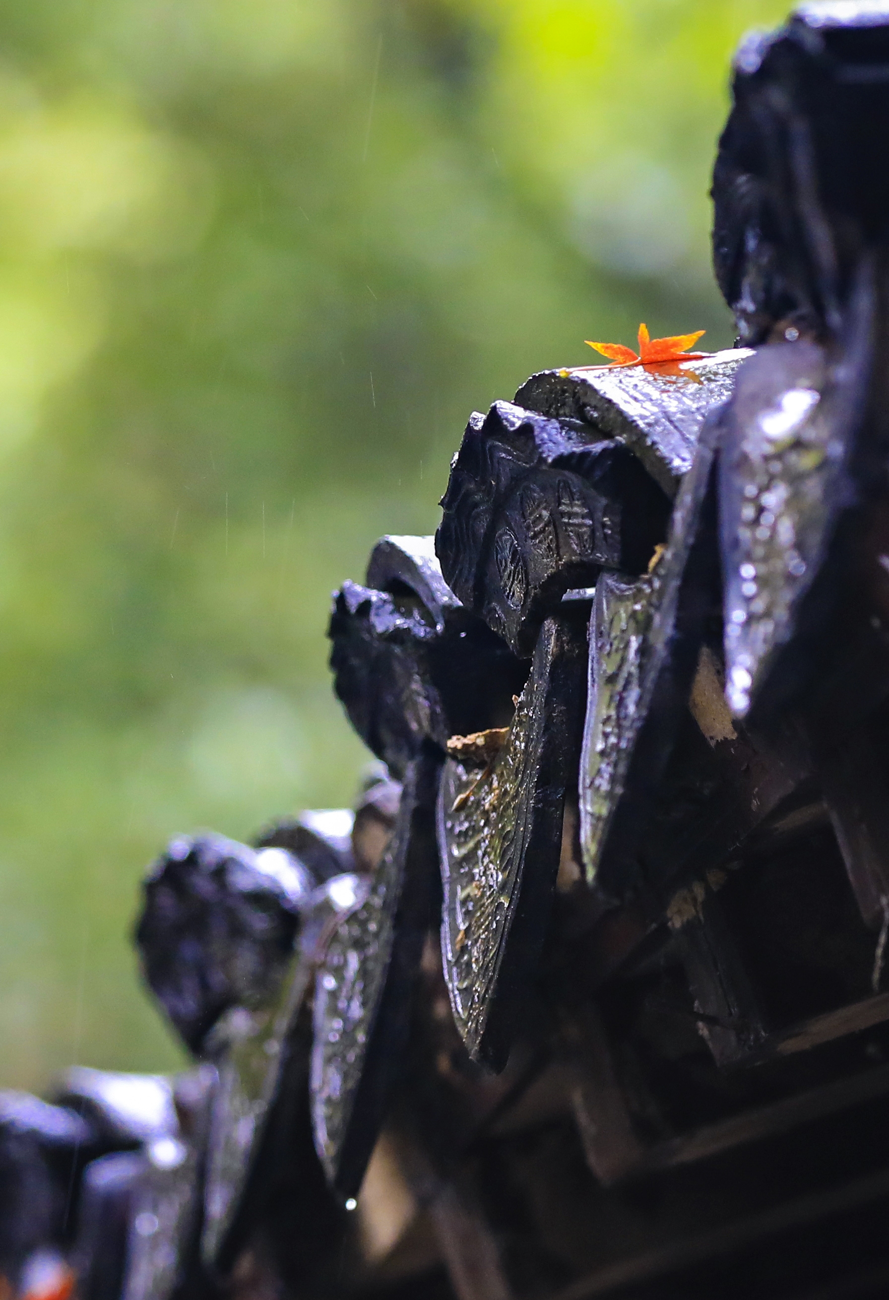 不恋尘世浮华, 不写红尘纷扰, 不叹世道苍凉, 不惹情思哀怨