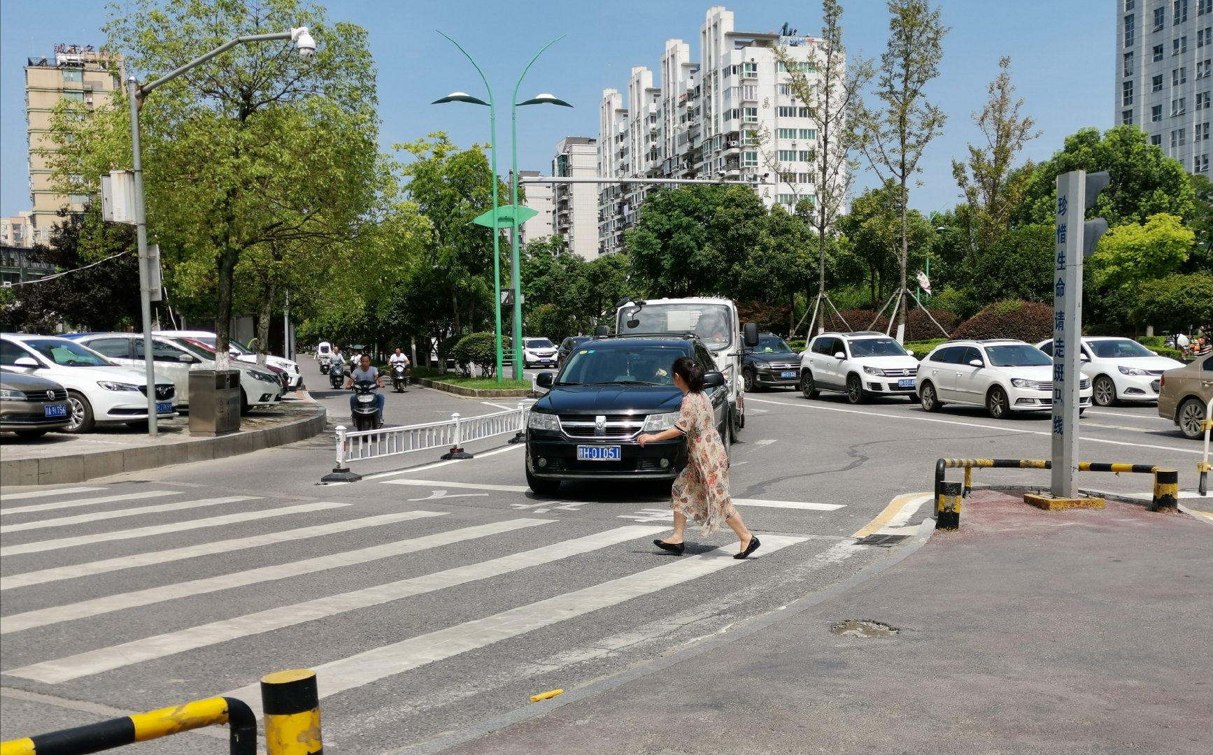 街头观察——昌南大道十字路口:机动车礼让行人情况良好|斑马线|行人