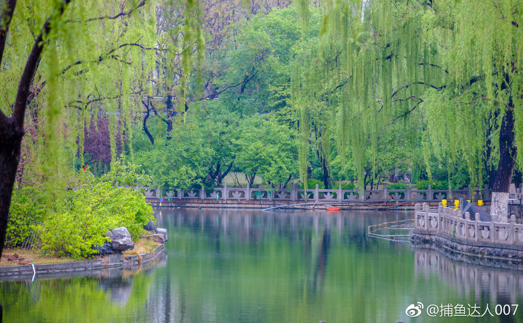 泉城公园 @新浪山东 @浪部落 @济南市文化和旅游局 @中国摄影师联盟_新浪新闻