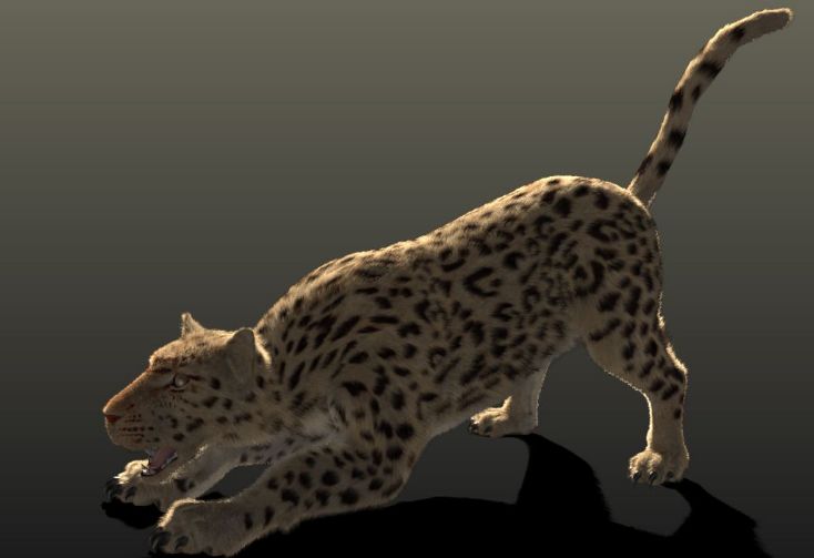 恐猫,能肆意的蹂躏人类祖先的动物,100万年前已经灭绝