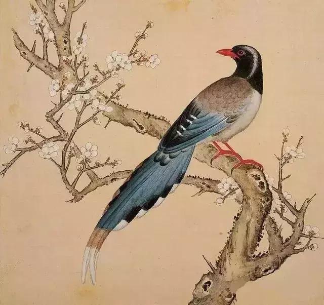 国宝级清宫鸟谱图花鸟画中的极品