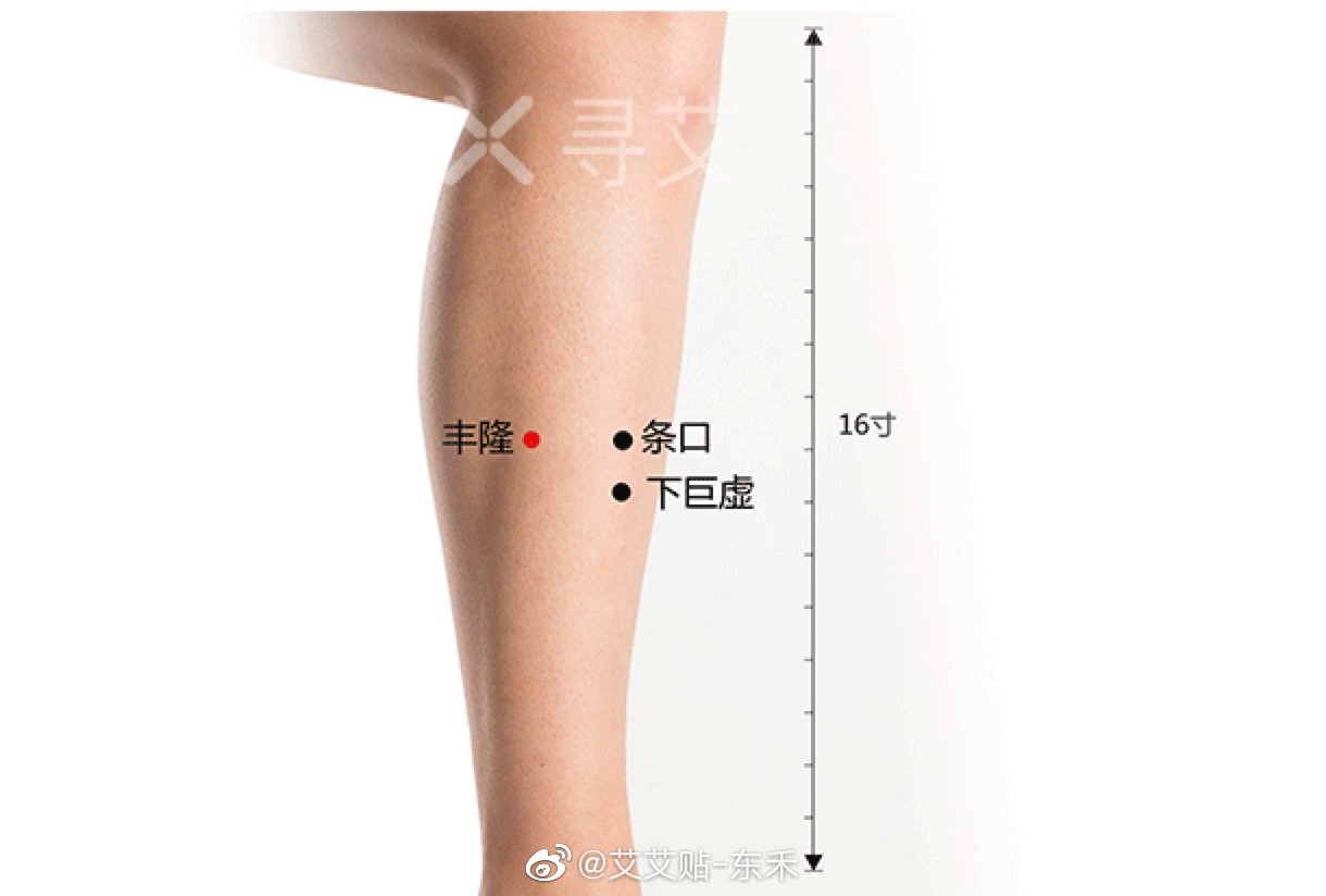 丰隆穴对现代人最有用它可以去除高血脂