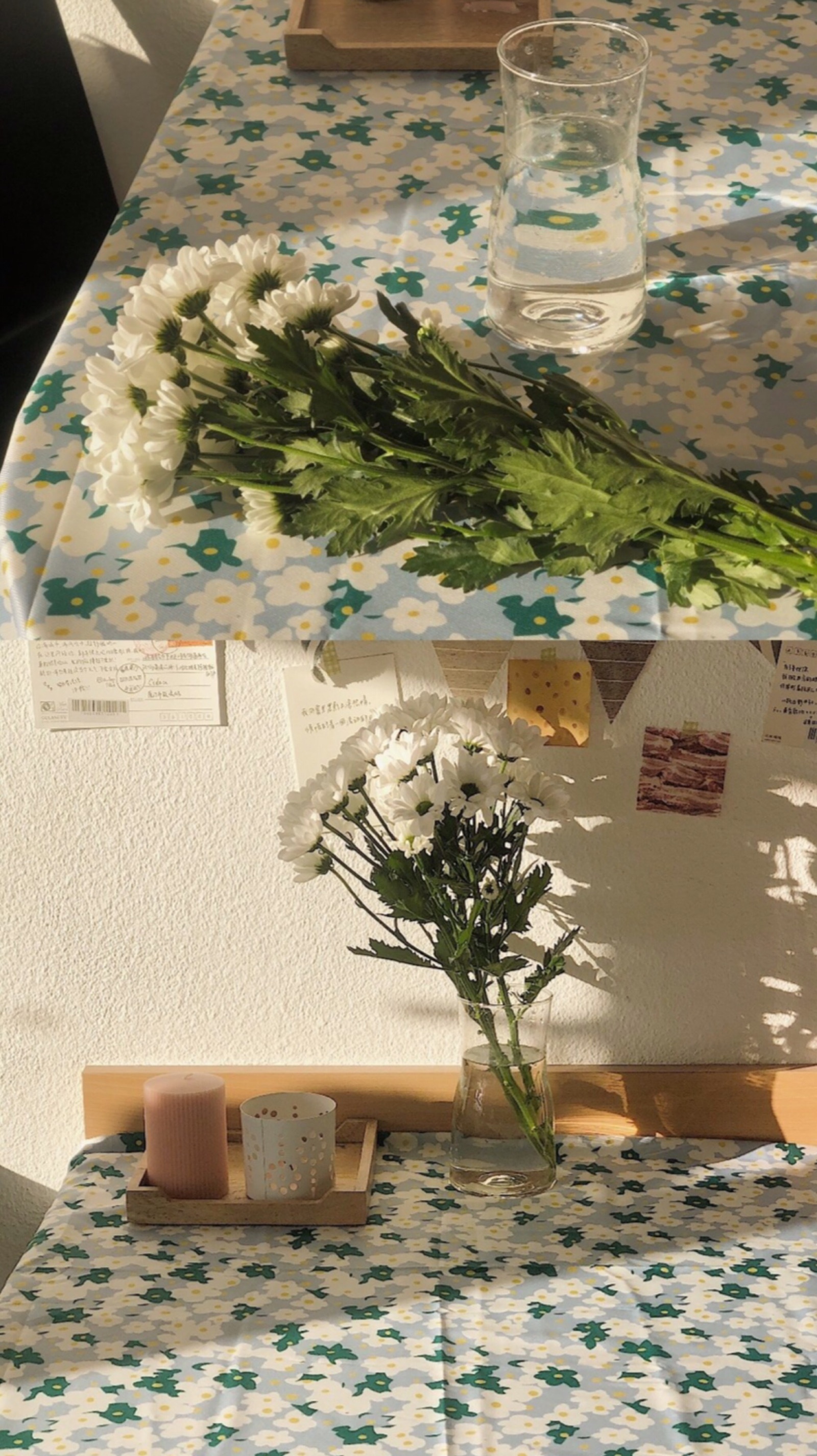 今日份丨ins日系清新 手机壁纸 无水印 "