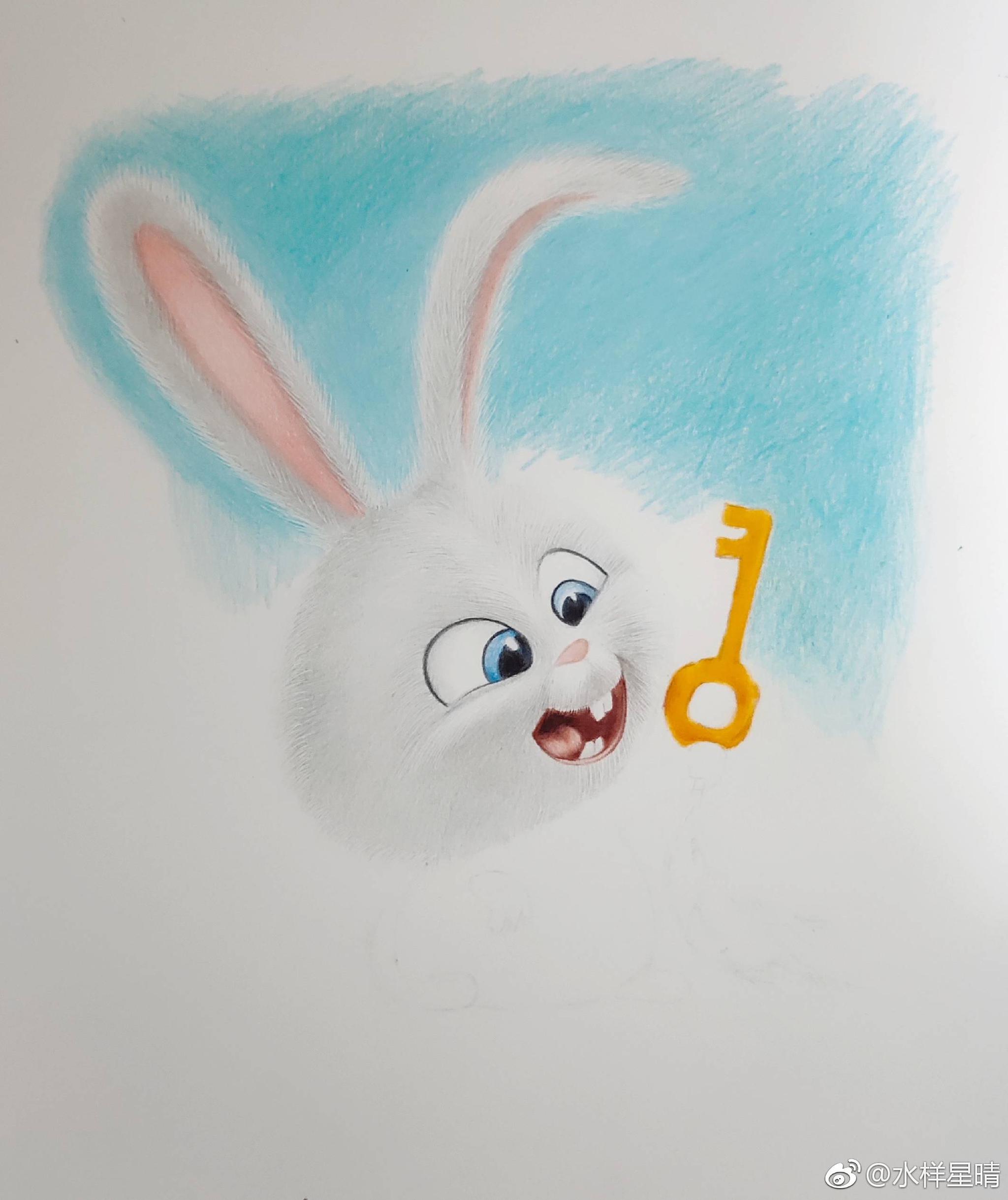 爱宠大机密小白兔绿辉霹雳马飞乐鸟彩铅纸水样星晴