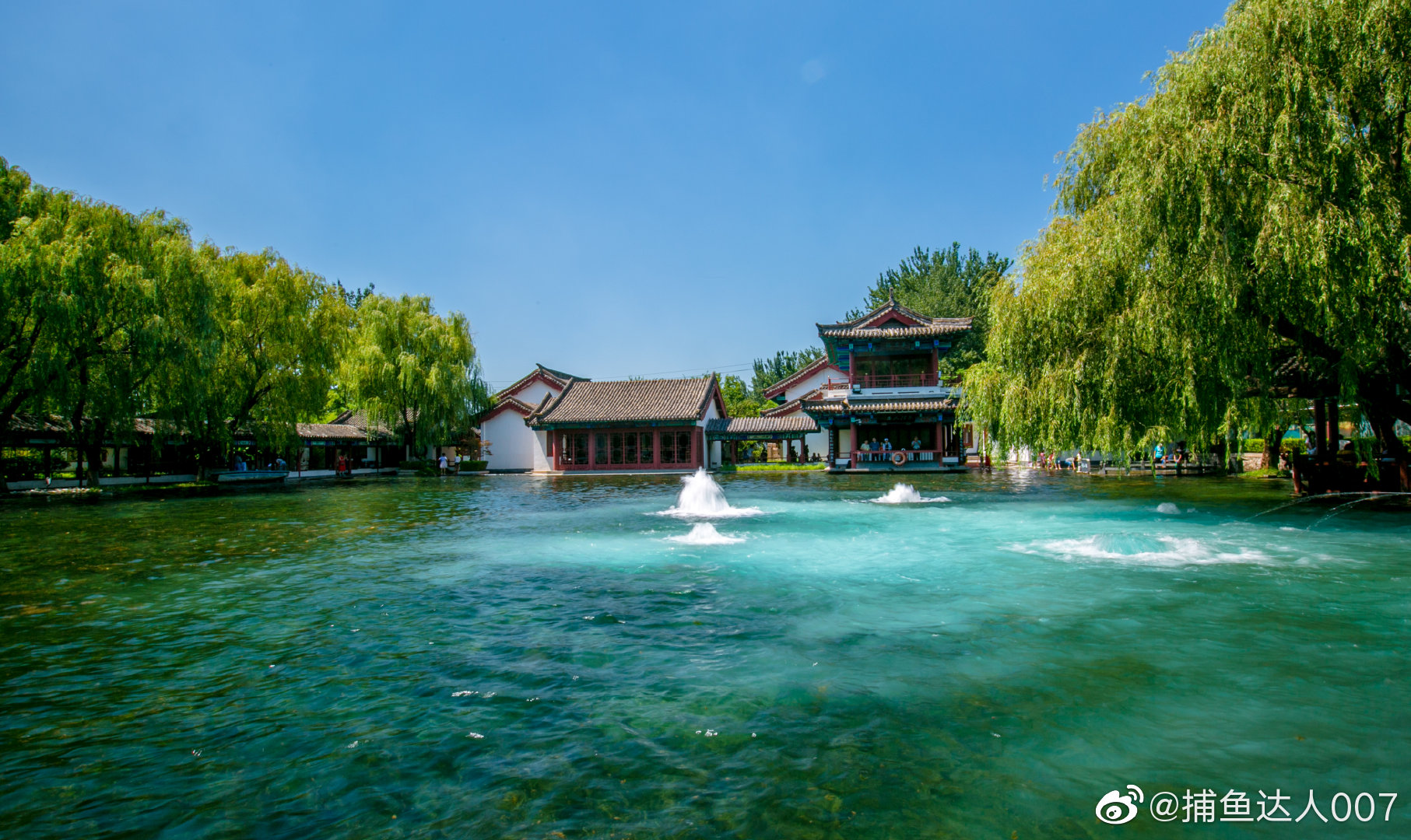 梅花泉---章丘百脉泉公园@济南市文化和旅游局 @中国摄影师联盟