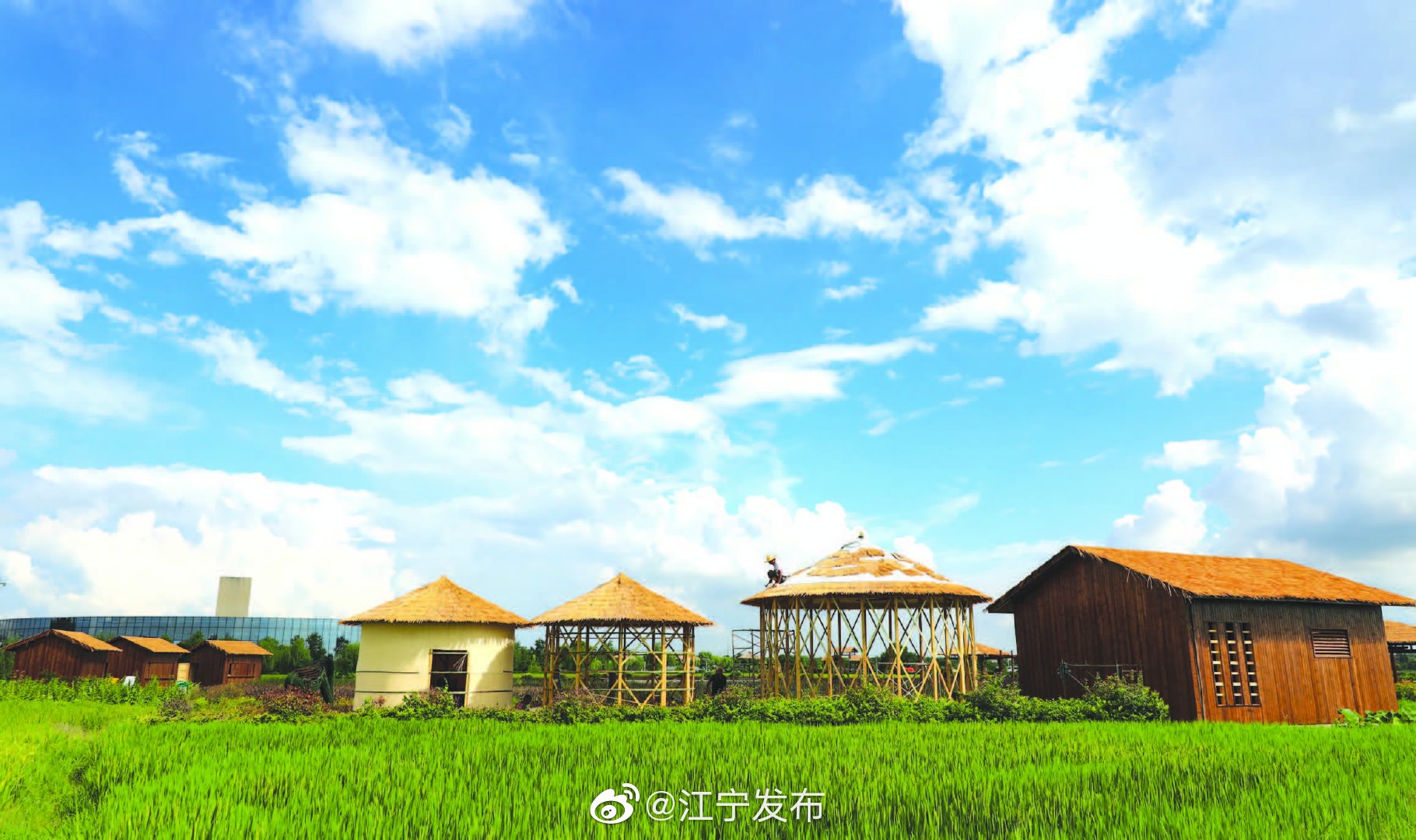 湖熟街道尚桥社区在实施乡村振兴战略中